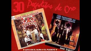 Los Terrícolas 30 Pegaditas de Oro Vol 1 1992 Disco Completo [upl. by Klatt]