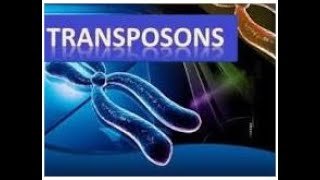 Transposons  Microbial Genetics  2024 [upl. by Fidelio879]