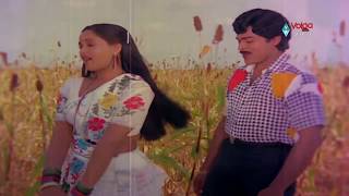 Kondaveeti Raja Movie Songs  Naa Koka Bagunda  Chiranjeevi Radha VijayaShanthi [upl. by Ika]