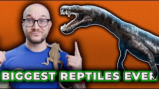 The BIGGEST Reptiles To EVER Exist Are Dinosaurs REALLY Reptiles [upl. by Eimac825]