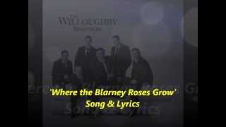 The Willoughby BrothersLyricsWhere the Blarney Roses Grow [upl. by Darryl]