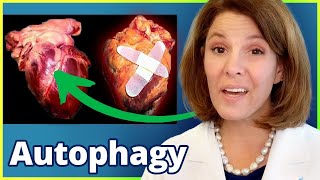 REVERSE Heart Disease with Autophagy [upl. by Collis305]