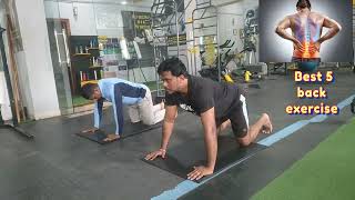 BEST 5 LOWER BACK PAIN RELIEF EXERCISES kgfvelubhaifitness FitnessTrainerHussain [upl. by Accalia611]