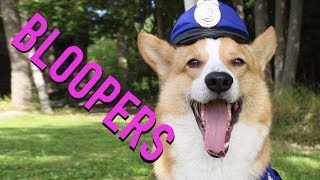 BLOOPERS  Topi the Corgi [upl. by Dulcie391]