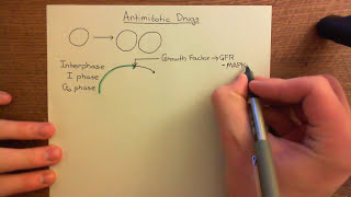 Antimitotic Drugs Part 1 [upl. by Dew314]