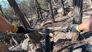 Beechworth MTB Dr Hongs [upl. by Navac924]