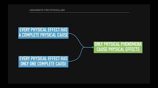 The Causation Argument for Physicalism [upl. by Auqenaj]