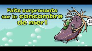 Infos insolites sur le concombre de mer [upl. by Hadrian8]