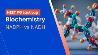 Biochemistry  NADPH vs NADH [upl. by Oilegor]