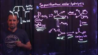 252vid15 basic hydrolysis of esters and amides [upl. by Errol]