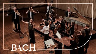 Bach  Vivace from Concerto for two violins BWV 1043  Netherlands Bach Society [upl. by Tallulah]