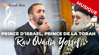 Prince dIsrael Prince de la Torah  Rabbénou Ovadia Yossef [upl. by Nosiram631]