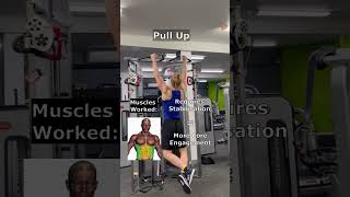 Difference Between Lat Pulldown and Pull Up backday [upl. by Lupe]