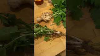 Dandelion root  nettle  ginger tea easy recipe [upl. by Bluma]