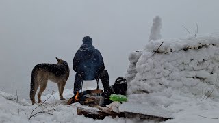 28°solo snow ❄️ camping  igloo house 🏠 outdoor  bushcraft  wild cooking  with my dog 🐕 INDIA [upl. by Lanahtan]