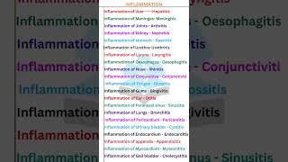 Cause Of Inflammation Inflammation In The Body shorts viralshort [upl. by Adda787]