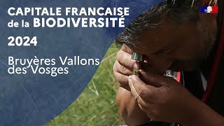 Capitale française de la biodiversité 2024  Bruyères Vallons des Vosges [upl. by Hadwyn170]