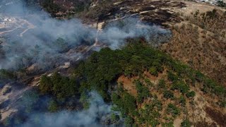 Informan que 8 incendios forestales se mantienen activos [upl. by Atil924]