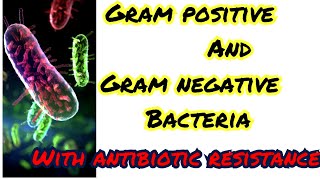 gram positive and gram negative bacteria note acinatobector is not normal skin flora its my mistake [upl. by Novello910]