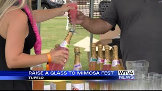 First ever Mimosa Festival held in Tupelo [upl. by Giralda]