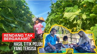 Rendang tak bergaram⁉️hasil titik peluh yang tersisa [upl. by Nuriel]