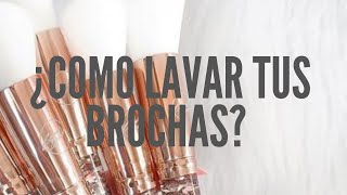 ¿Como se lavan las brochas  LyloFa [upl. by Nimzaj]