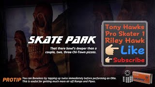 THPS1 Riley Hawk Skate Park [upl. by Fraser578]