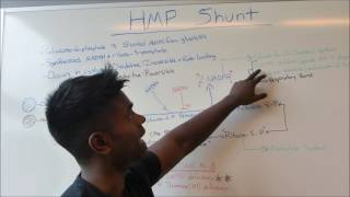 HMP Shunt HIGH YIELD USMLE MADE EASY [upl. by Lledualc496]