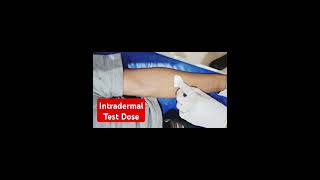 How to give test dose in intradermal intradermal injection Technique intradermal testdose [upl. by Zehe76]