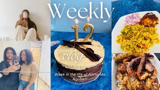 Weekly vlog visiting a friend Hosting a braai cornubia bounce with nephews cooking savoury rice [upl. by Maise]