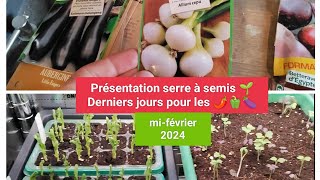 Les 1er semis poussent  Fabriquer une serre chaude pour tomates poivrons aubergines etc 🍅🍆🫑 [upl. by Grosberg]