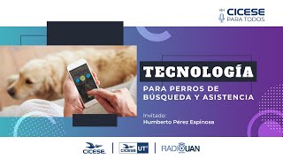 Tecnologías para perros de búsqueda rescate y asistencia [upl. by Adali]