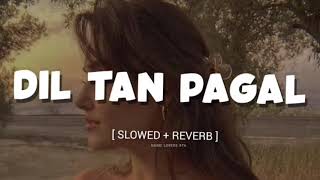 Dil tan pagal  Hai  naseebo Lal  hit punjabi Song  Slowed reverb song l [upl. by Kiehl]