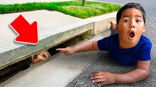 Our Dog Teddy FELL Into The SEWER [upl. by Nagoh]