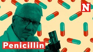 How Penicillin Changed The World [upl. by Hurley]