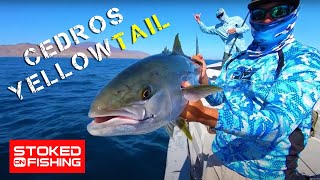 Cedros Island Yellowtail Fishing  Stoked On Fishing  Full Episode  2020 [upl. by Rusty]