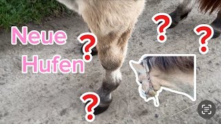 Ragadi bekommt neue Hufen 😍🐴 [upl. by Boonie29]