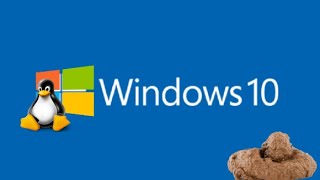 IL MOTIVO PERCHE MI FA SCHIFO WINDOWS 10 [upl. by Swithin]