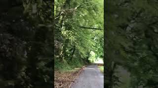 Route de Corrèze france nature limousin shortsyoutube travel [upl. by Ivy708]