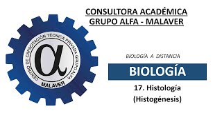 17 Histología Histogénesis [upl. by Akinahc24]