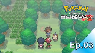 ¡Liberamos a herdier POKEMON BLANCO 2 Cutrigameplay sin comentarios [upl. by Alekin273]