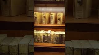 The worlds only wooden library Kassel Germany shorts short travel germany kassel intresting [upl. by Anela]