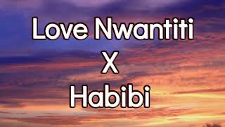 Love Nwantiti X Habibi  Lyrics  Ckay  Dj GimiO [upl. by Amitak]