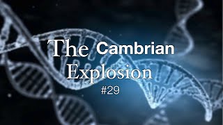 The Cambrian Explosion [upl. by Ettelrahc254]