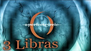 3 Libras  A Perfect Circle Lyrics [upl. by Warchaw]