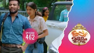 Uppum Mulakum 2  Flowers  EP 462 [upl. by Atsed]