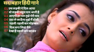 सदाबहार हिंदी गाने 🌹💓  Udit narayan Hindi songs Sadabahar gana [upl. by Dessma367]