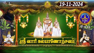 Srivari Kalyanotsavam  Tirumala  SVBC2 Tamil  19112024  SVBC TTD [upl. by Sam]