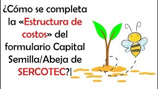 SERCOTEC  Capital SemillaAbeja Emprende 2019  Estructura de costos [upl. by Flessel664]