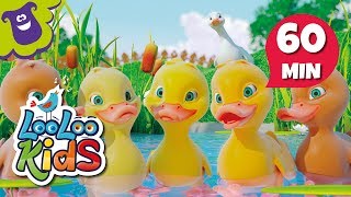 Five Little Ducks  S2EP15 Musical Adventure Collection  LooLoo Kids Songs for Kids [upl. by Kcirrem]